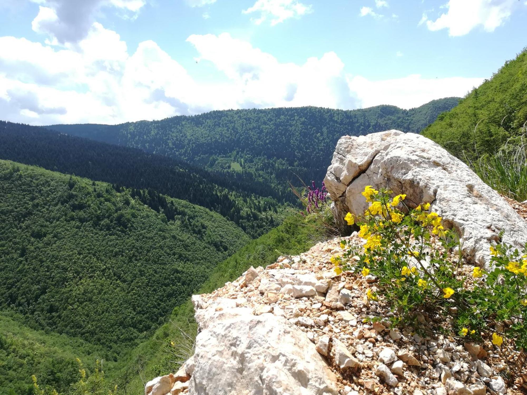 Montenegrinabih, Petrovici, Istocno Szarajevó Kültér fotó